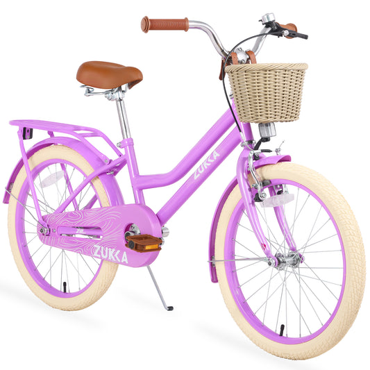 Girls Bike 20inch with Basket and Backseat, Kids Bicycle for 7-10 Years Old, Single Speed